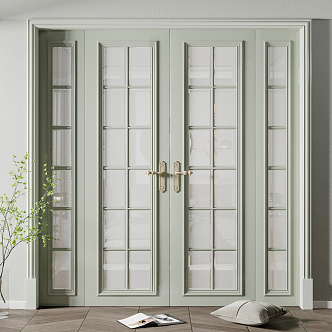 French Double Door Wooden pea green Double Opening Glass Door 3d model