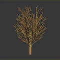 Minimalist Decorative Wooden Tree With Delicate Branches On Dark Background