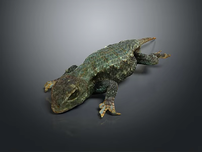Green Scaly Lizard With Rough Textured Skin Resting On Dark Gray Surface 3d model