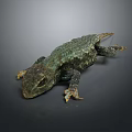 Green Scaly Lizard With Rough Textured Skin Resting On Dark Gray Surface