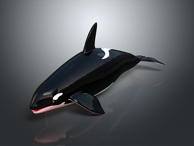 whale killer whale cartoon whale mammal marine mammal marine animal fish freshwater fish 3d model