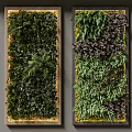 Indoor Living Plant Wall With Three Panels And Various Greenery Design