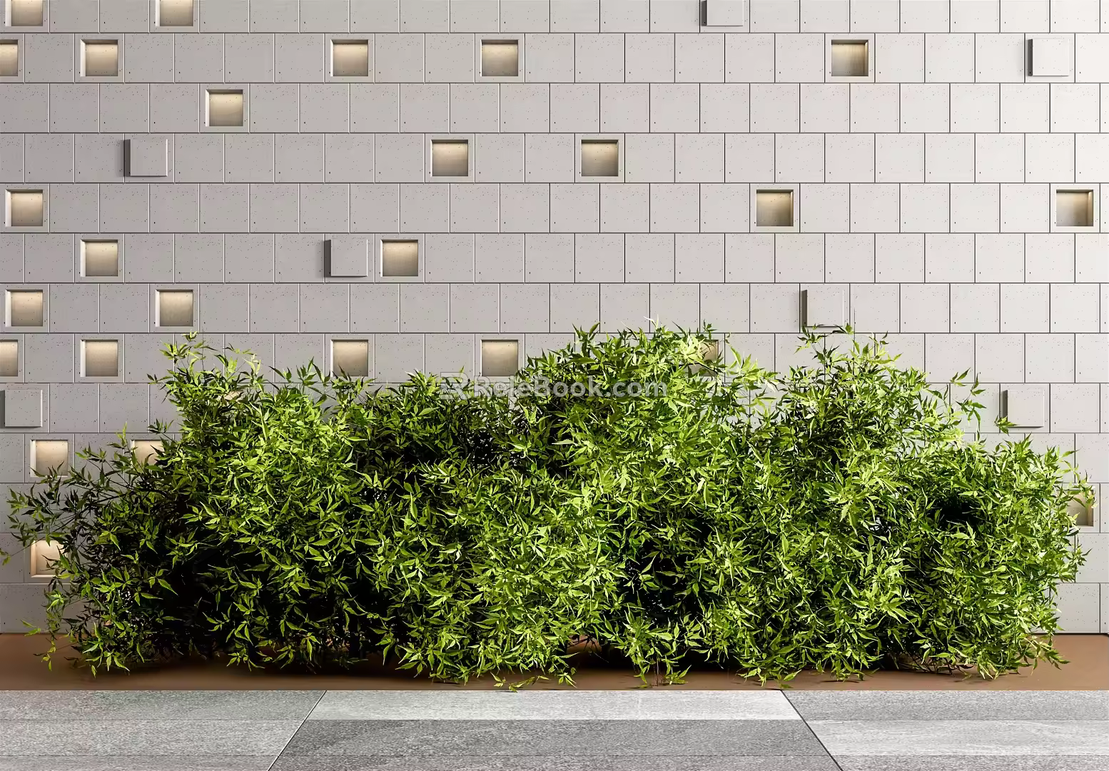 Modern shrubs 3d model