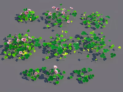 Fresh Growing Clover Plants With Green Leaves And Vibrant Pink Flowers 3d model