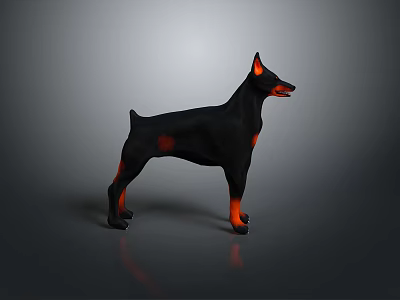 Black and Red Doberman Pinscher in Standing Pose with Sleek Coat on Neutral Gray Background 3d model