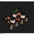 Multiple Small Bonsai Potted Plants In Diverse Pots On Paper Egg Carton Tray