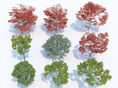 Colorful Arbor Trees with Red and Green Foliage in Various Shapes 3d model
