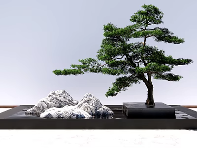 Traditional Zen Garden Design Featuring Bonsai Pine Tree and Decorative Rocks 3d model