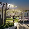 Serene Garden Landscape with Stone Path Lined by Trees Planters Sunlight and Person Walking