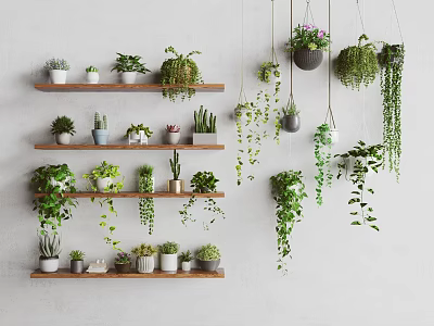 Indoor Wall Decor With Hanging Basket Plants And Shelf Potted Greenery 3d model