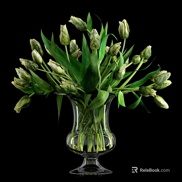 Transparent Glass Vase With Fresh Green Tulip Buds And Lush Leaves On Black Background 3d model 