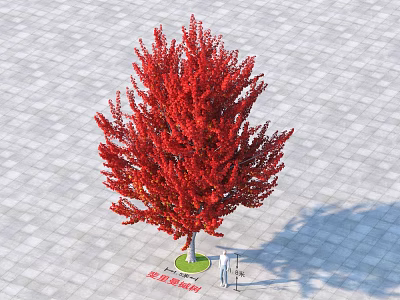 Beautiful Shape Arbor With Red Leaves On Paved Ground And Human Figure For Scale 3d model