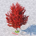 Beautiful Shape Arbor With Red Leaves On Paved Ground And Human Figure For Scale