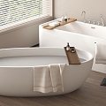 Bathtub Bidet Integrated Bathtub Separate Bathtub Toiletries 3d model