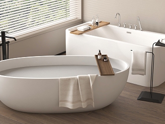 Bathtub Bidet Integrated Bathtub Separate Bathtub Toiletries 3d model