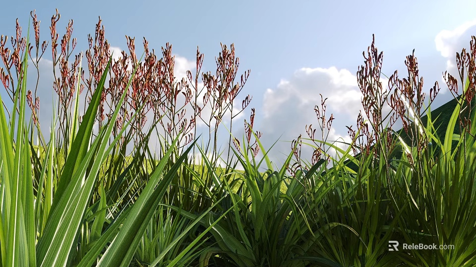 Shrubs With Red Flower Spikes And Green Leaves Against Blue Sky And White Clouds 3d model 