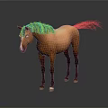 Brown Horse Standing With Dark Mane And Tail On Shiny Floor