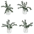 Glass Vases With Green Leaf Plants For Home Decorative Arrangement