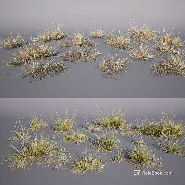 Natural Dry Grass Clumps And Green Grass Patches In Field Landscape 3d model 