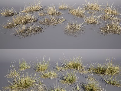 Natural Dry Grass Clumps And Green Grass Patches In Field Landscape 3d model