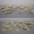 Natural Dry Grass Clumps And Green Grass Patches In Field Landscape