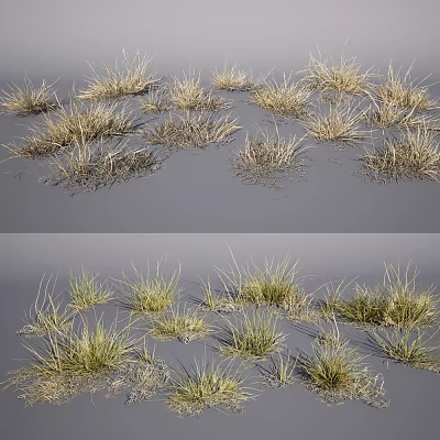 Natural Dry Grass Clumps And Green Grass Patches In Field Landscape 3d model