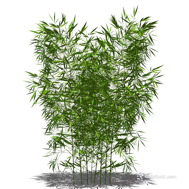 Lush Green Bamboo Plant With Dense Foliage And Tall Stalks In Natural Scene 3d model 