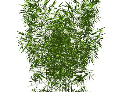 Lush Green Bamboo Plant With Dense Foliage And Tall Stalks In Natural Scene 3d model