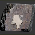 Natural Stone Wood Block Featuring Detailed Blue Brown Gray Surface Texture