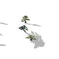 Diverse Arbor Trees With Distinct Shapes Lush Green Foliage And Curved Branches