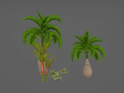 Two Palm Trees With Red Green Striped Trunks In Woven Pots And Small Green Plants 3d model