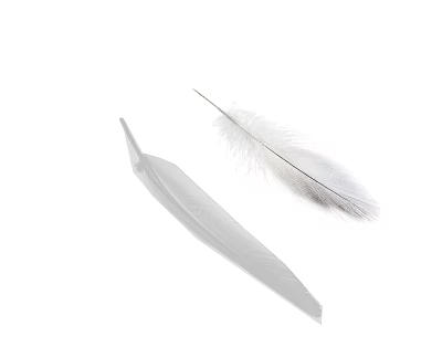 Decorative Ornament Set with White Feathers Including Large Wide and Small Fluffy Pieces 3d model