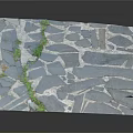 Natural Gray Irregular Stone Slab Pavement With Green Moss Growth