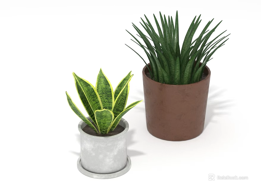 Potted Plants With Variegated And Long Slender Leaves In Silver And Brown Pots 3d model 
