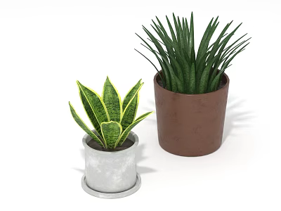 Potted Plants With Variegated And Long Slender Leaves In Silver And Brown Pots 3d model