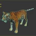 Realistic Striped Tiger Figure With Orange Fur Black Stripes And White Paws