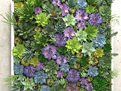 Vibrant Living Plant Wall With Colorful Succulents And Diverse Green Foliage 3d model