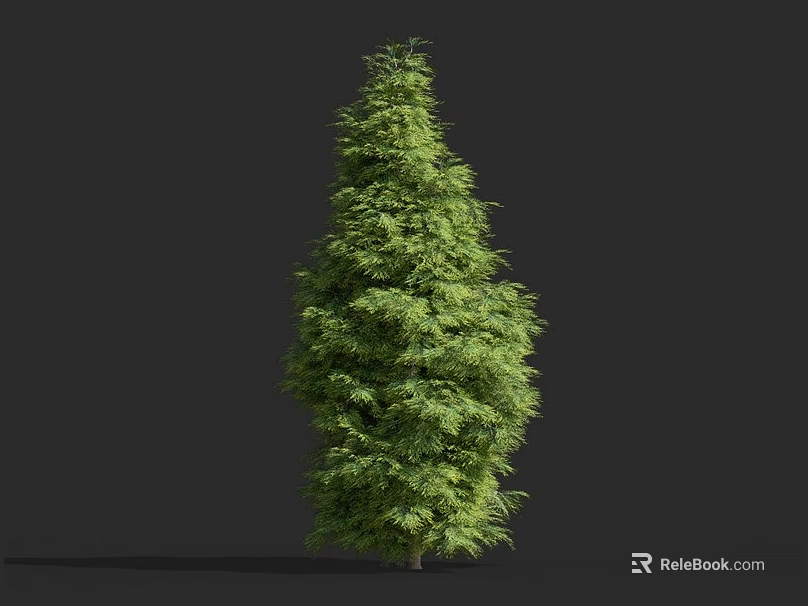 Vibrant Green Evergreen Shrub With Lush Foliage And Natural Shape Against Dark Backdrop 3d model 
