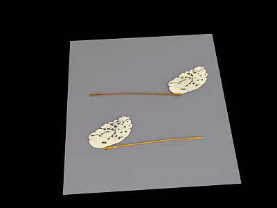 Museum Exhibits Displaying White Black Spotted Objects With Golden Long Handles 3d model