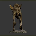 Realistic Taxidermy Jackal Figure In Walking Pose On Natural Stone Base