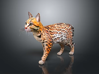 Leopard Cat With Spotted Coat Standing On Gray Background With Reflection 3d model