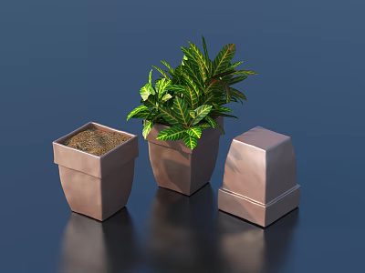 Variegated Green Plant in Square Terracotta Pot with Empty Planters on Dark Blue Background 3d model