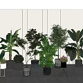 Various Potted Plants Of Different Sizes With Stylish Planters In Modern Indoor Space
