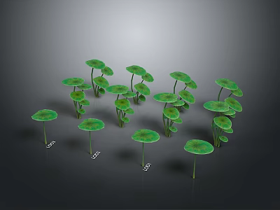 Green Leafy Plants With Round Leaves On Tall Stems Growing In Multiple Clusters 3d model