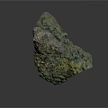 Natural Wooden Stone With Green Moss And Rough Organic Surface Texture