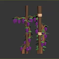 Fresh Purple Grapes Hanging On Green Vines Over Wooden Stick Frames On Brown Ground