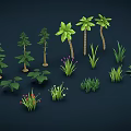 Different Types of Green Plants Including Trees Grasses and Flowering Varieties