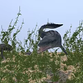 Cartoon Dinosaur Scene With Open Mouth Tall Plants And Grassy Environment