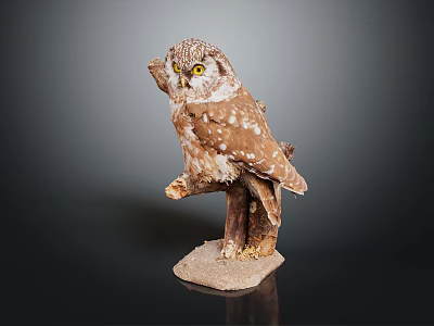 Striking Lifelike Owl Sculpture Perched on Tree Branch With Natural Stone Base 3d model