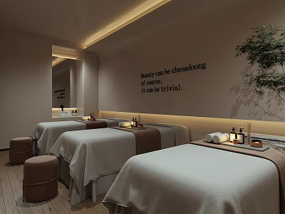 Beauty Salon Spa Treatment Space With Comfortable Beds Skincare Products Green Plants And Warm Lighting 3d model